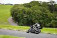 Middle Group Black Bikes